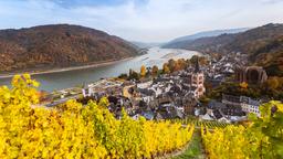 Rhine holiday rentals