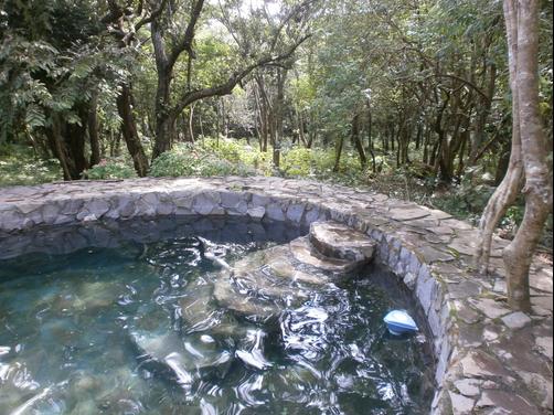 Ailanto Mountain Reserve - Fortuna