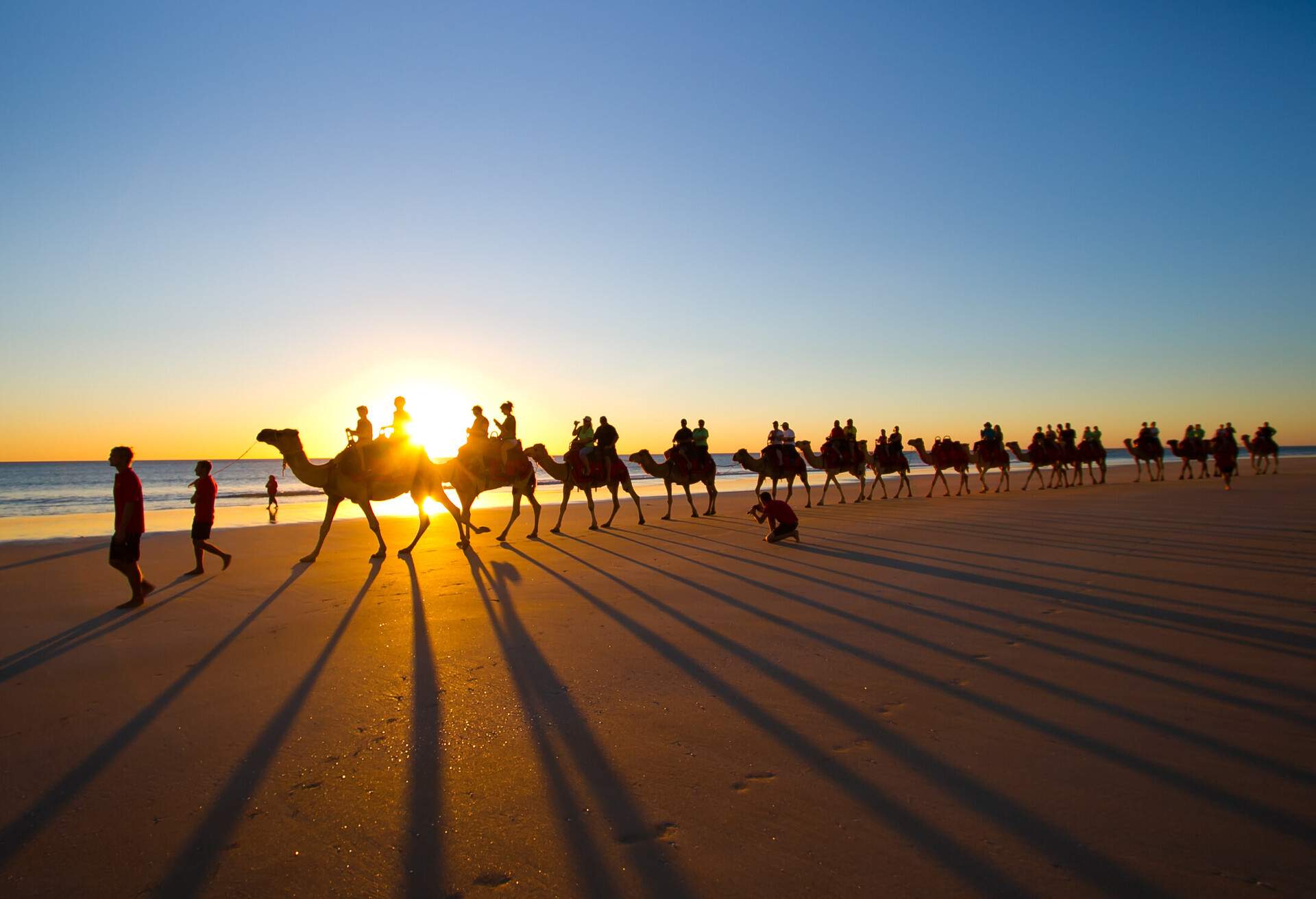Silhouette of camels on the shore of the beach at sunrise.