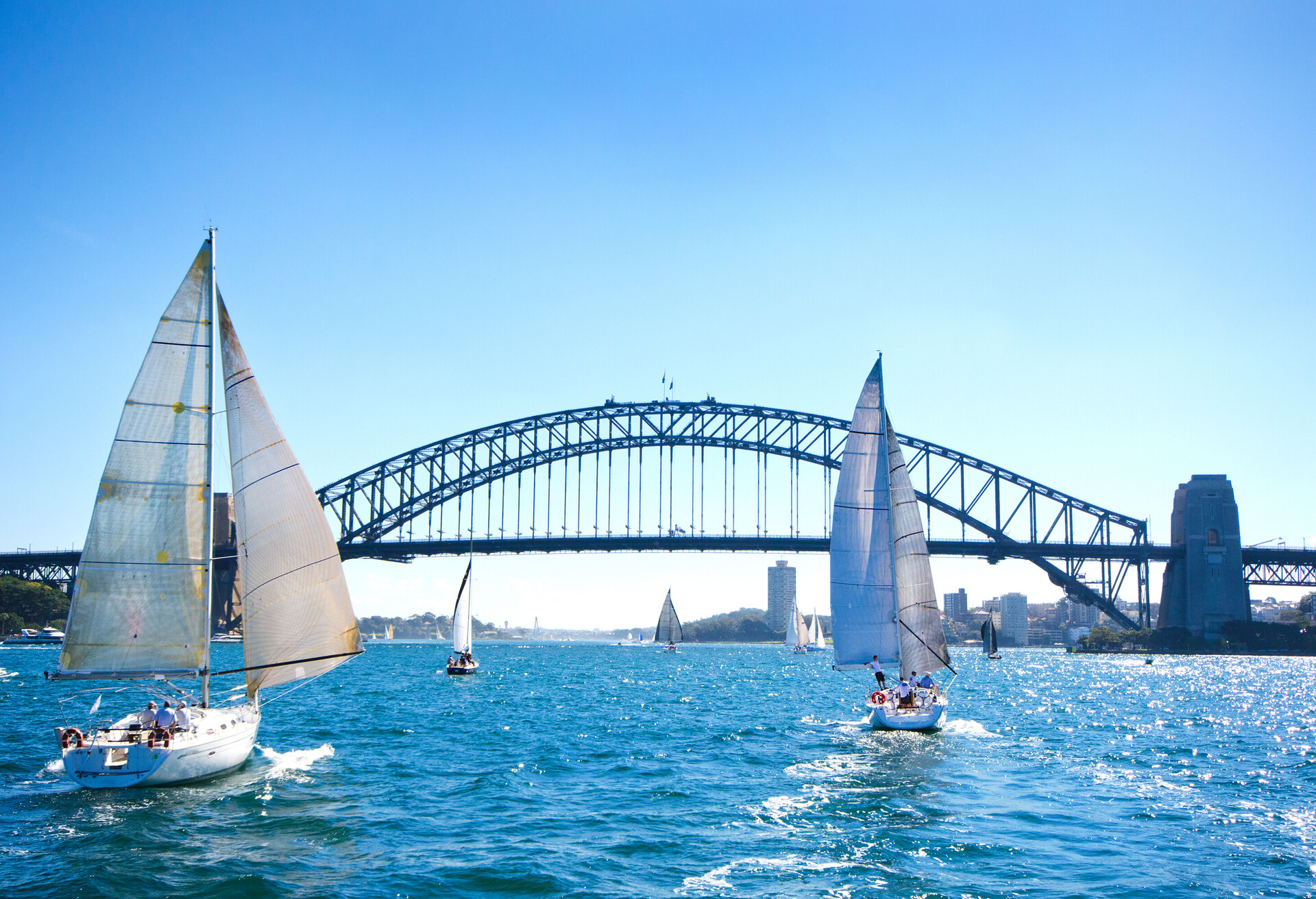 Sailboats on a sunny day at Sydney Harbor, Australia.   Iconic Sydney Harbor Bridge in the background.  Blue tint applied to enhance the sunny blue sky day.