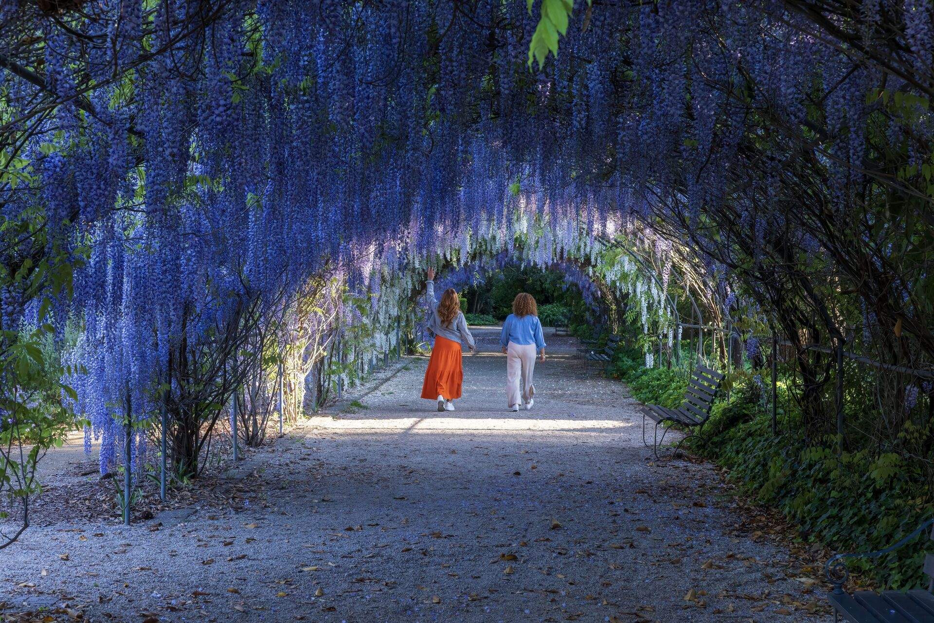 adelaide-botanic-garden-adelaid