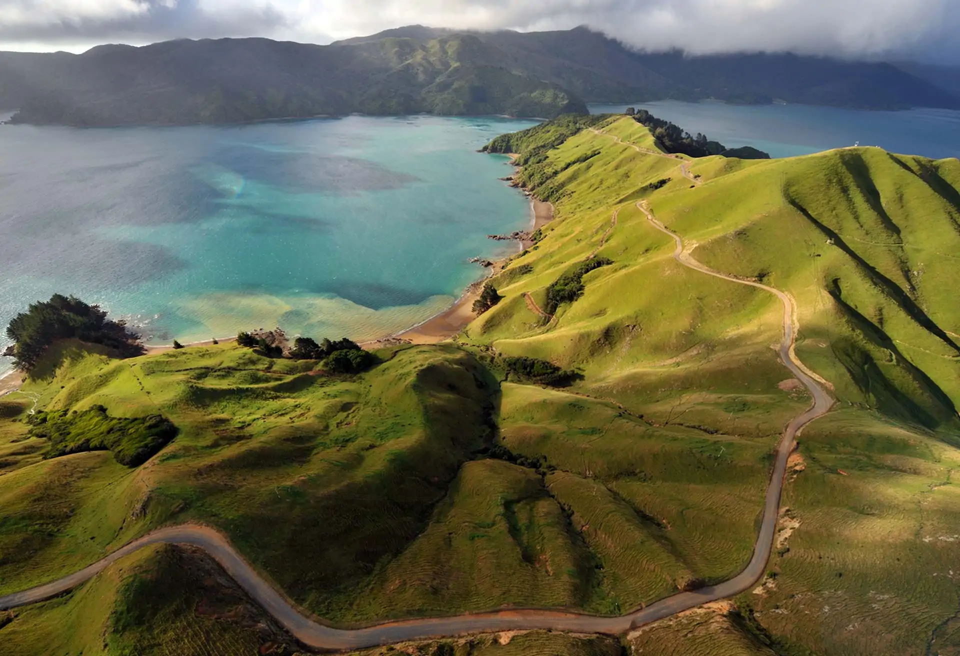 new-zealand