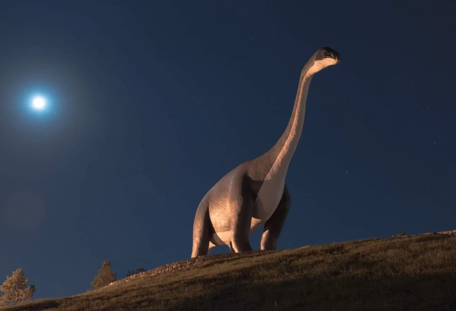DINOSAUR-PARK