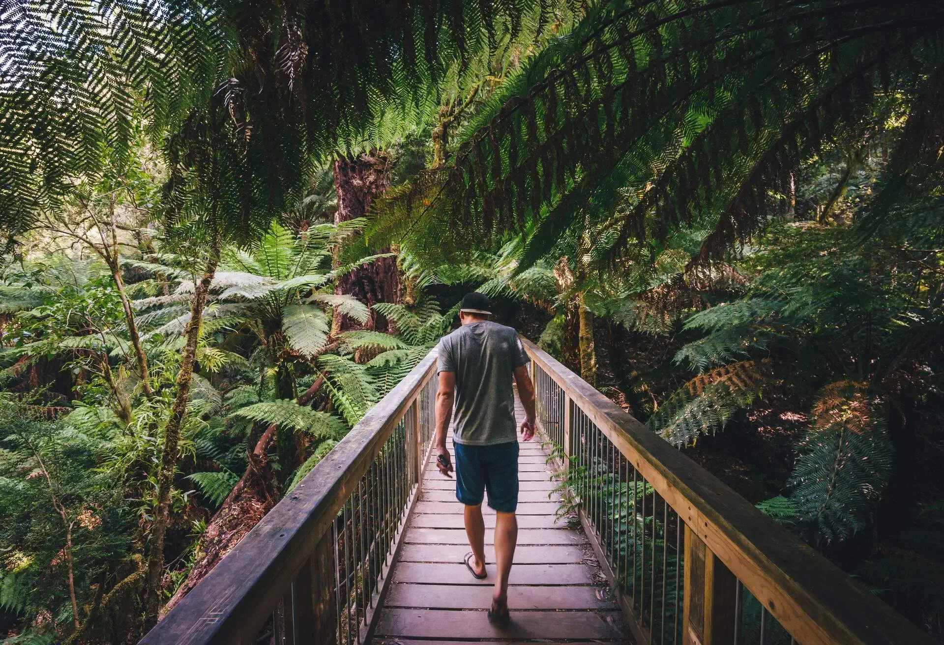 DEST_AUSTRALIA_VICTORIA_APOLLO_BAY_FOREST_MAN_GREAT_OTWAY_NATIONAL_PARK_GettyImages-812355992