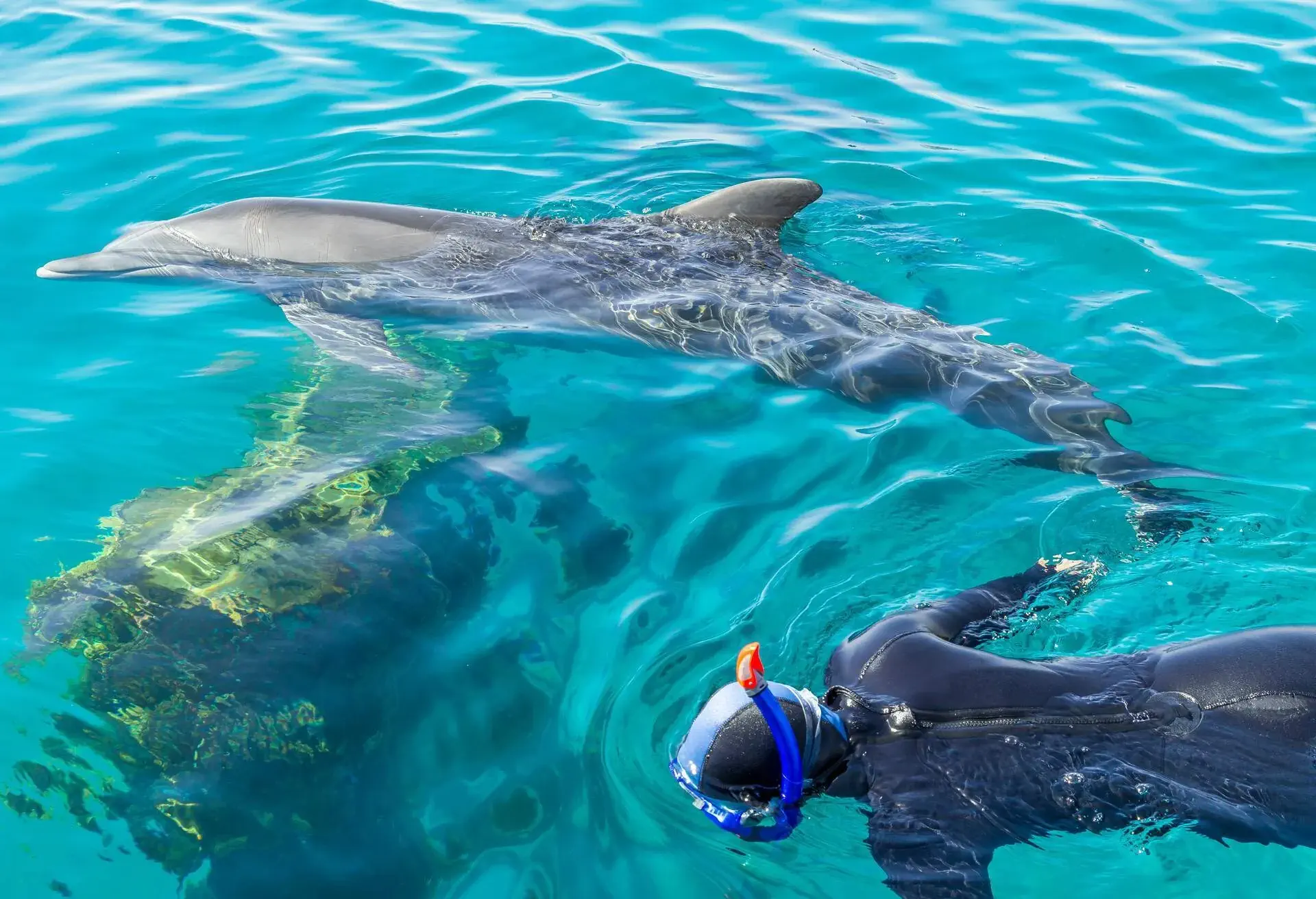 PEOPLE_PERSON-SNORKELLING