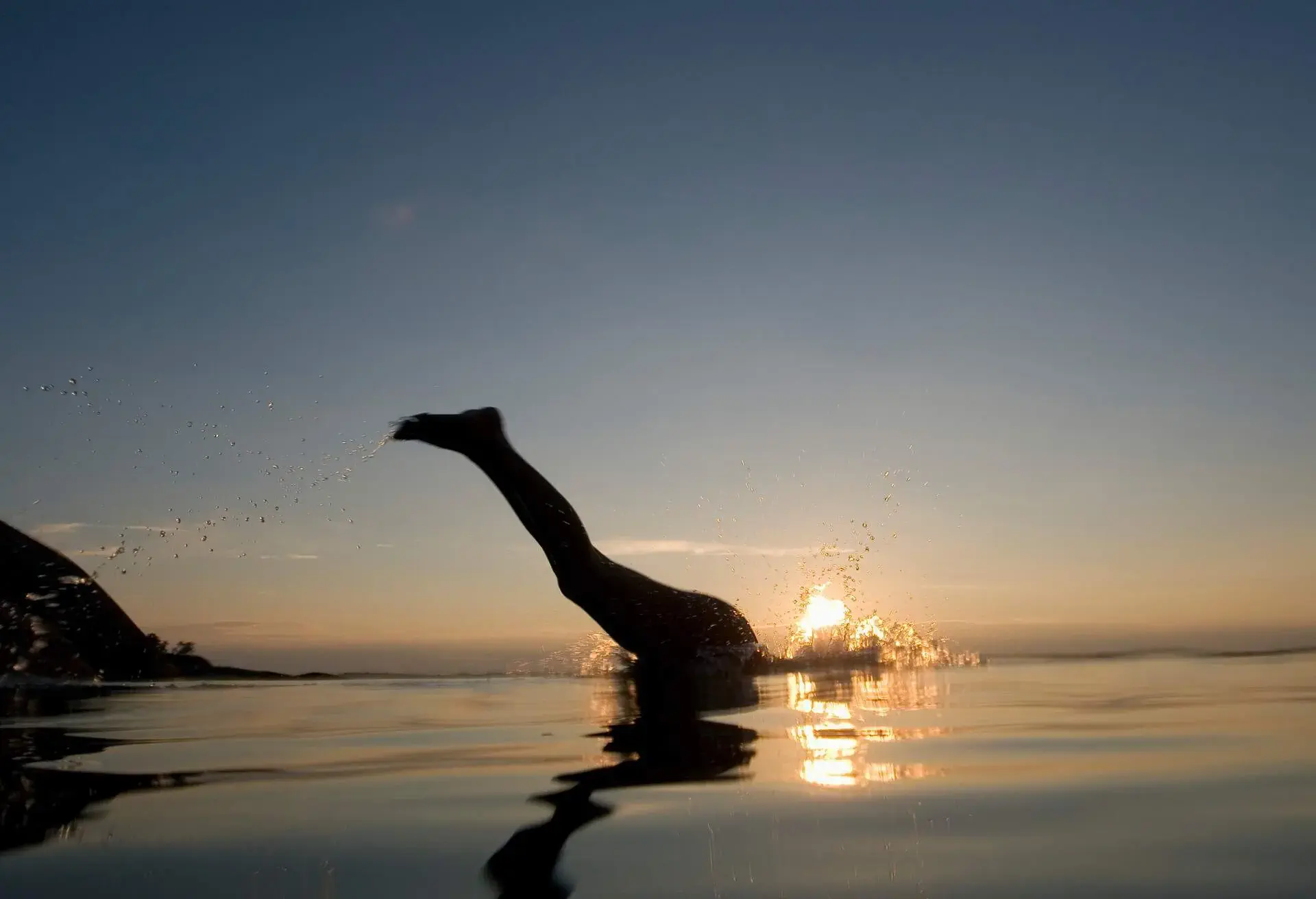 PEOPLE_WOMAN_JUMPING_LAKE_SUNSET_DIVING