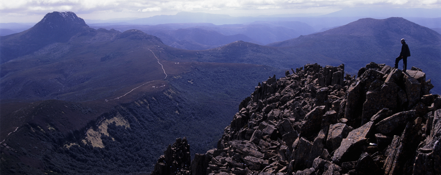 Tassie