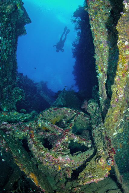 Explore These Incredible WW2 Shipwreck Scuba Diving Sites USAT Liberty, Indonesia