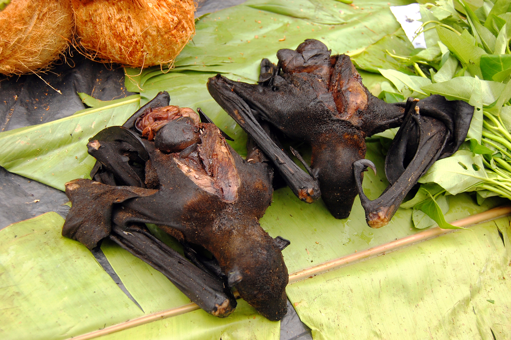 Yum! 8 food ‘delicacies’ in Asia that everyone else finds weird