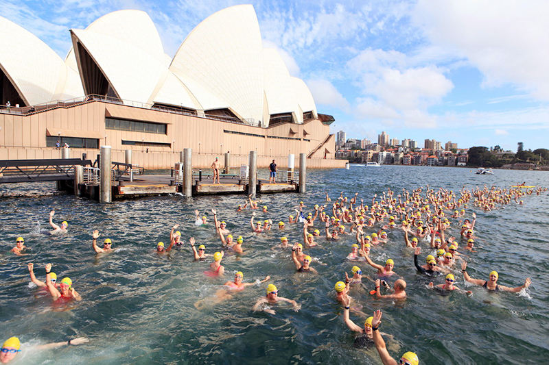 Great Australian Swim Series, Australia Day in Sydney, Sydney, KAYAK Australia