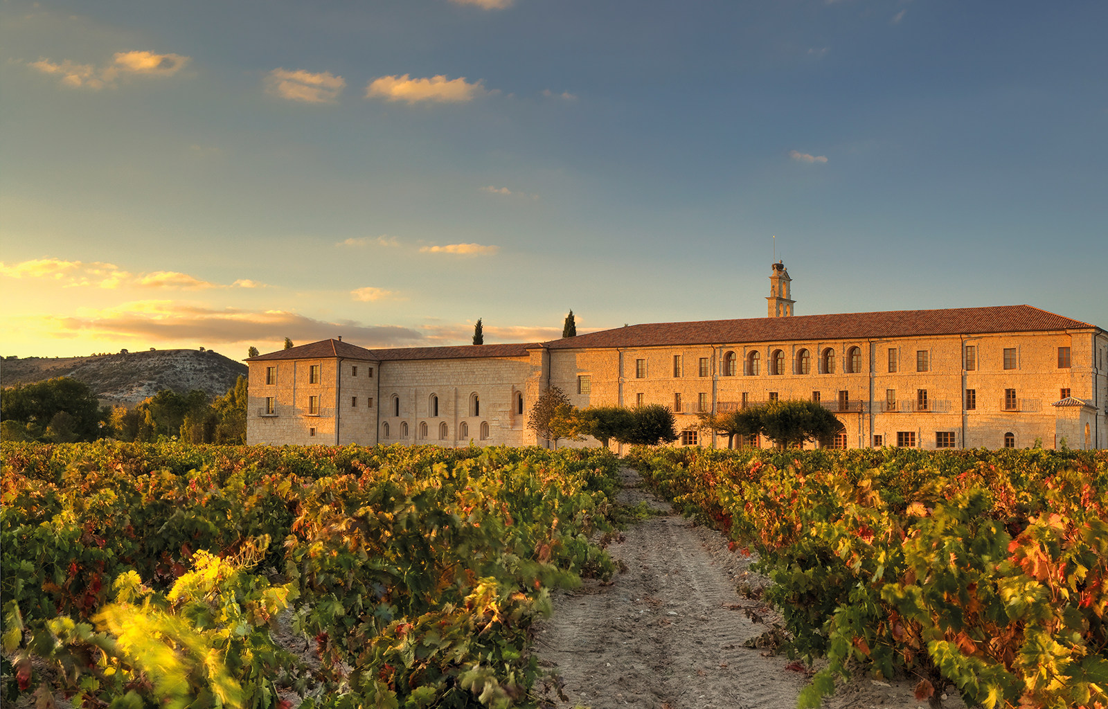 Dream wedding destination, Sardon de Duero, Spain