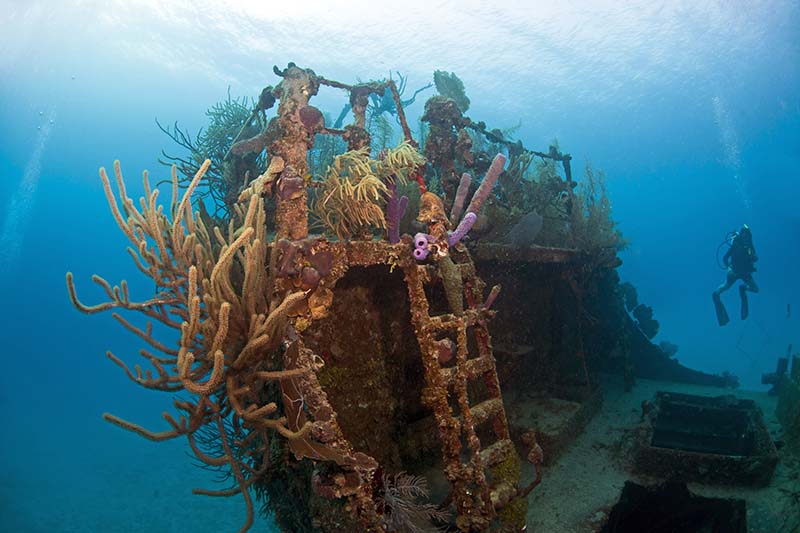Best Dive Sites - Exotic Scuba Diving in Honduras