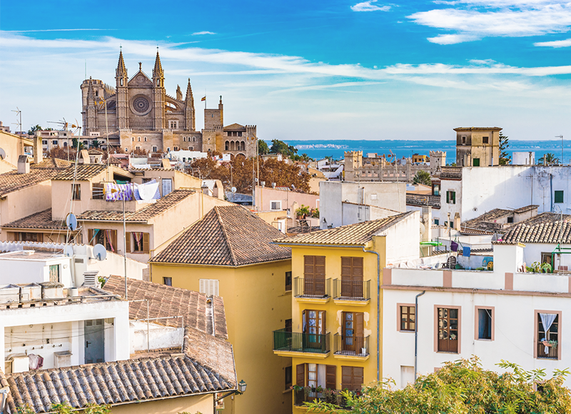 A marvellous view of Palma Cathedral from the city