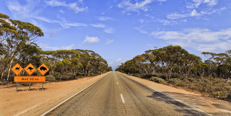 best australian outback road trips