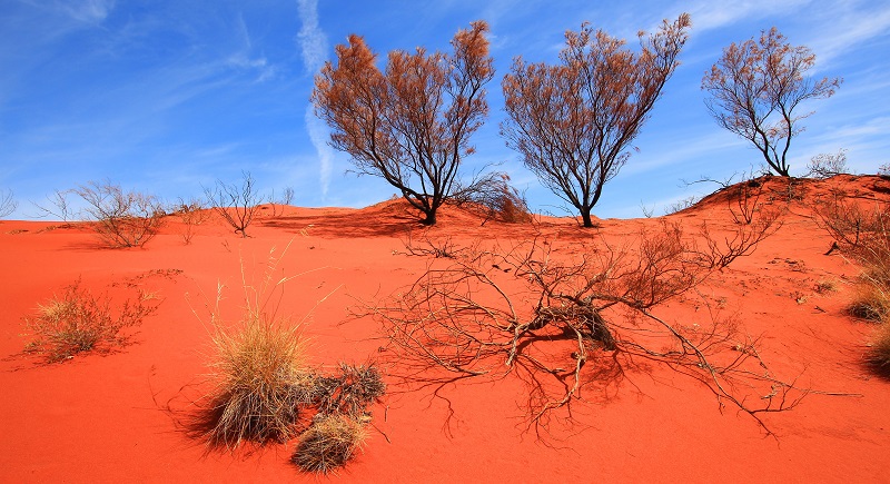 best australian outback road trips