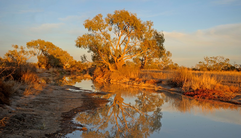 best australian outback road trips