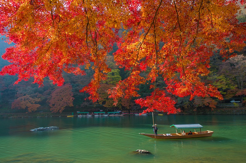 Japan Fall Foliage Forecast 2018: 8 Best Spots To 