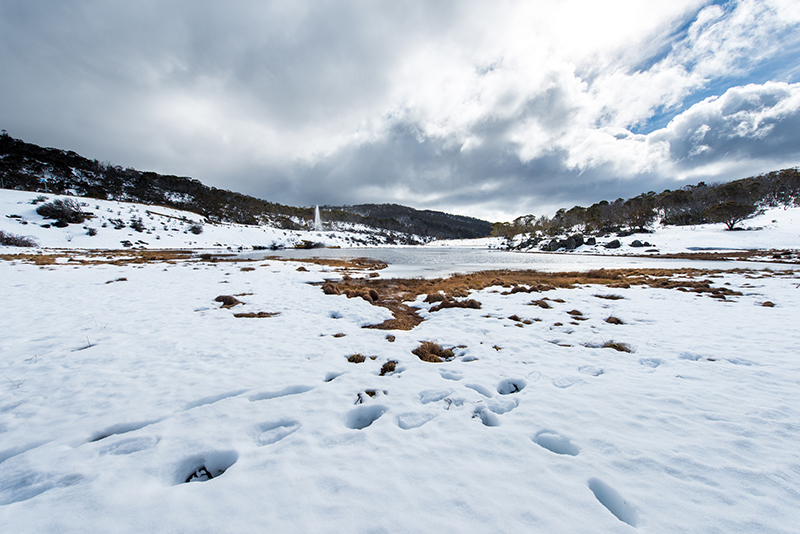 Snowy moutains in Kosciuszko National Park, Australia