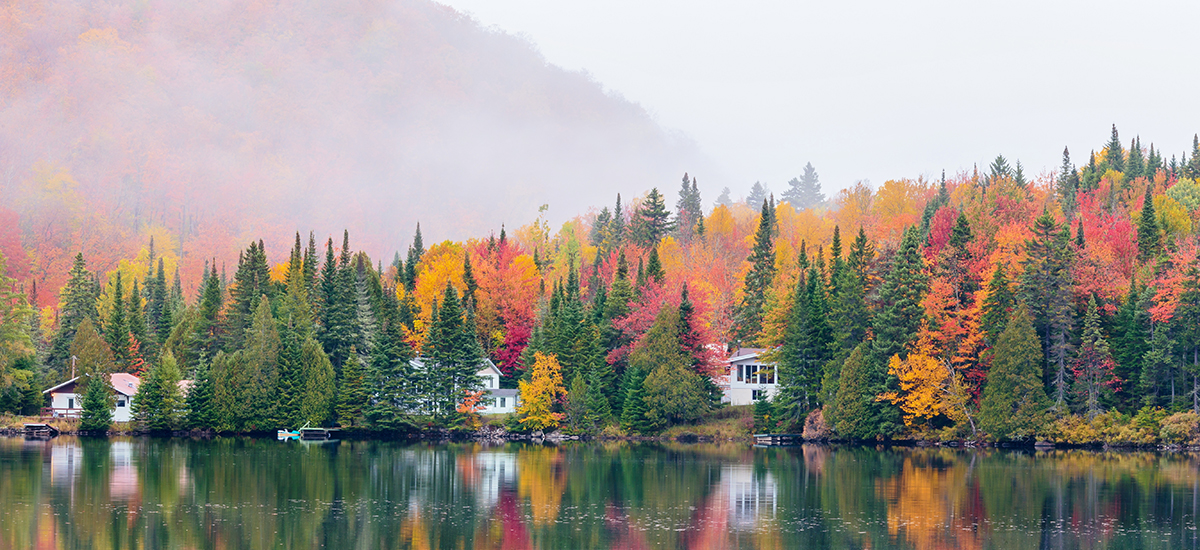 Fall Foliage Forecast