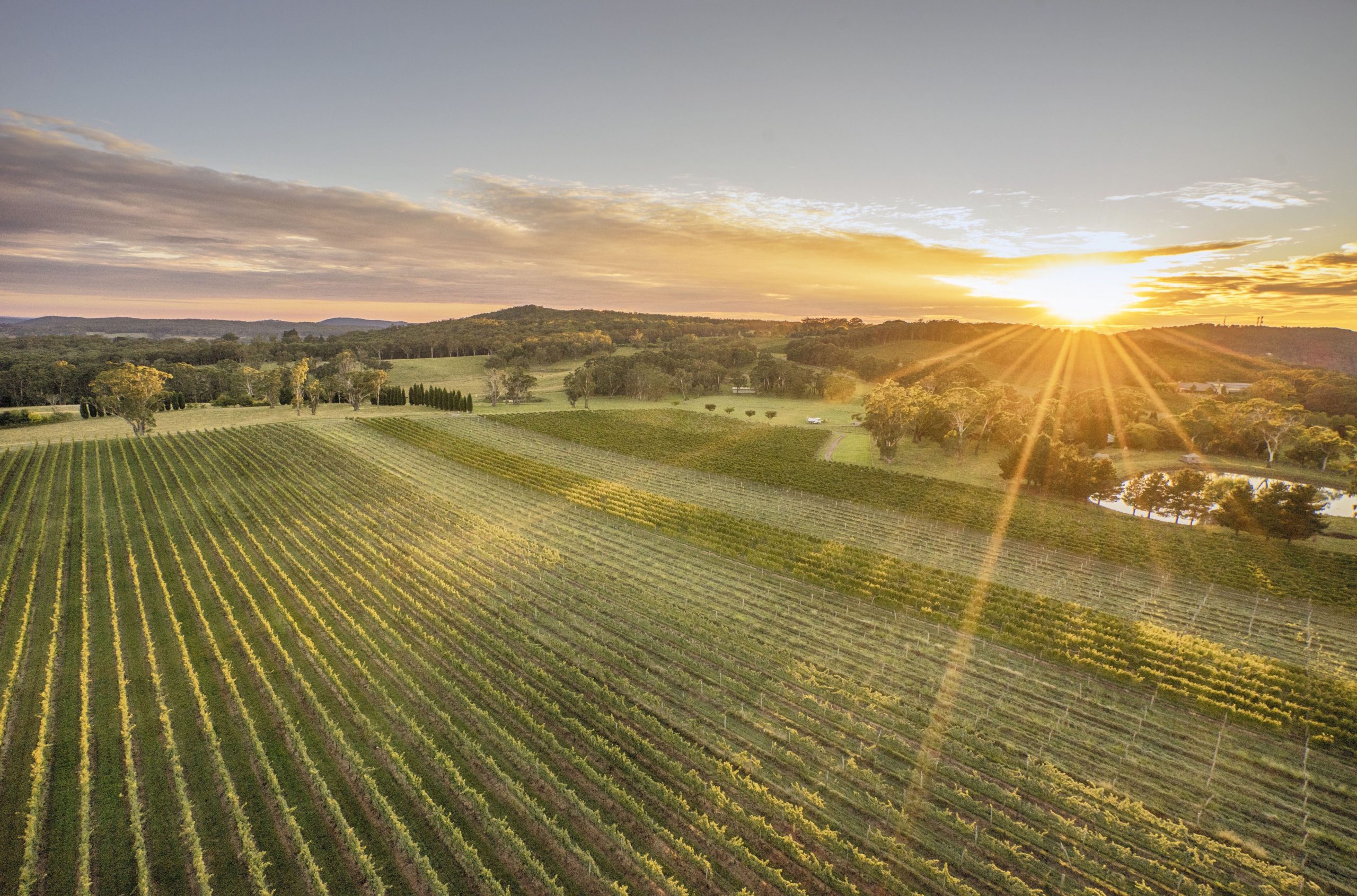 Header photo | Centennial Vineyards, Bowral | DESTINATION NSW