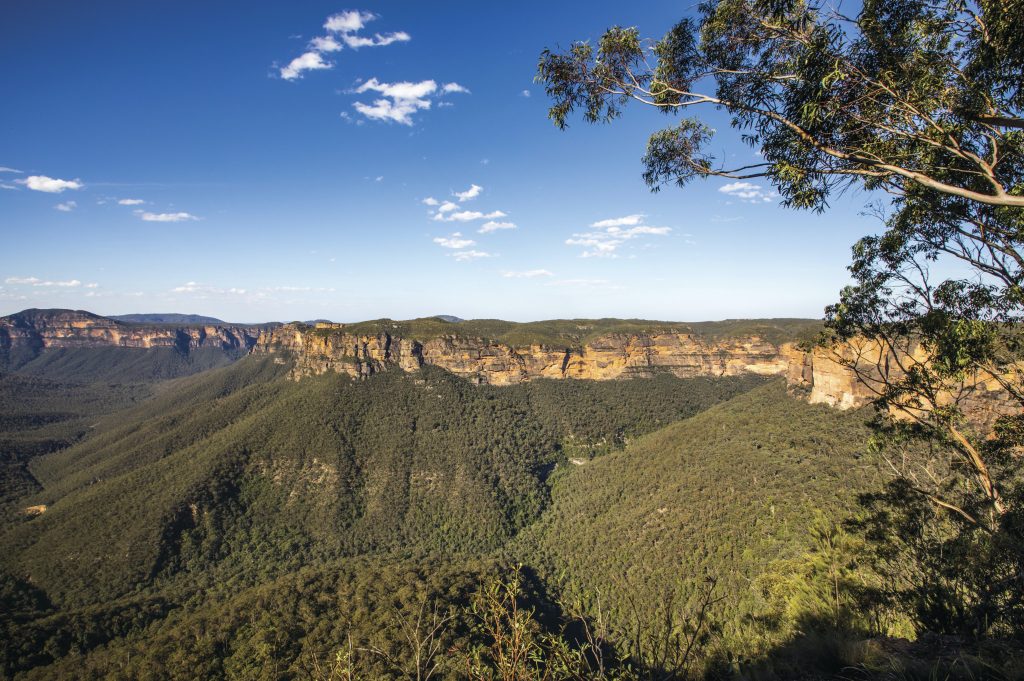 Evans Lookout