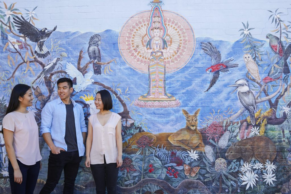 Street Art Katoomba