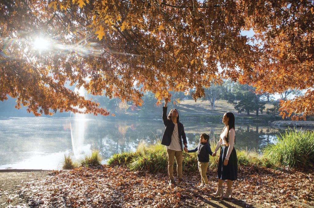 Lake Alexandra Reserve, Mittagong, Southern Highlands