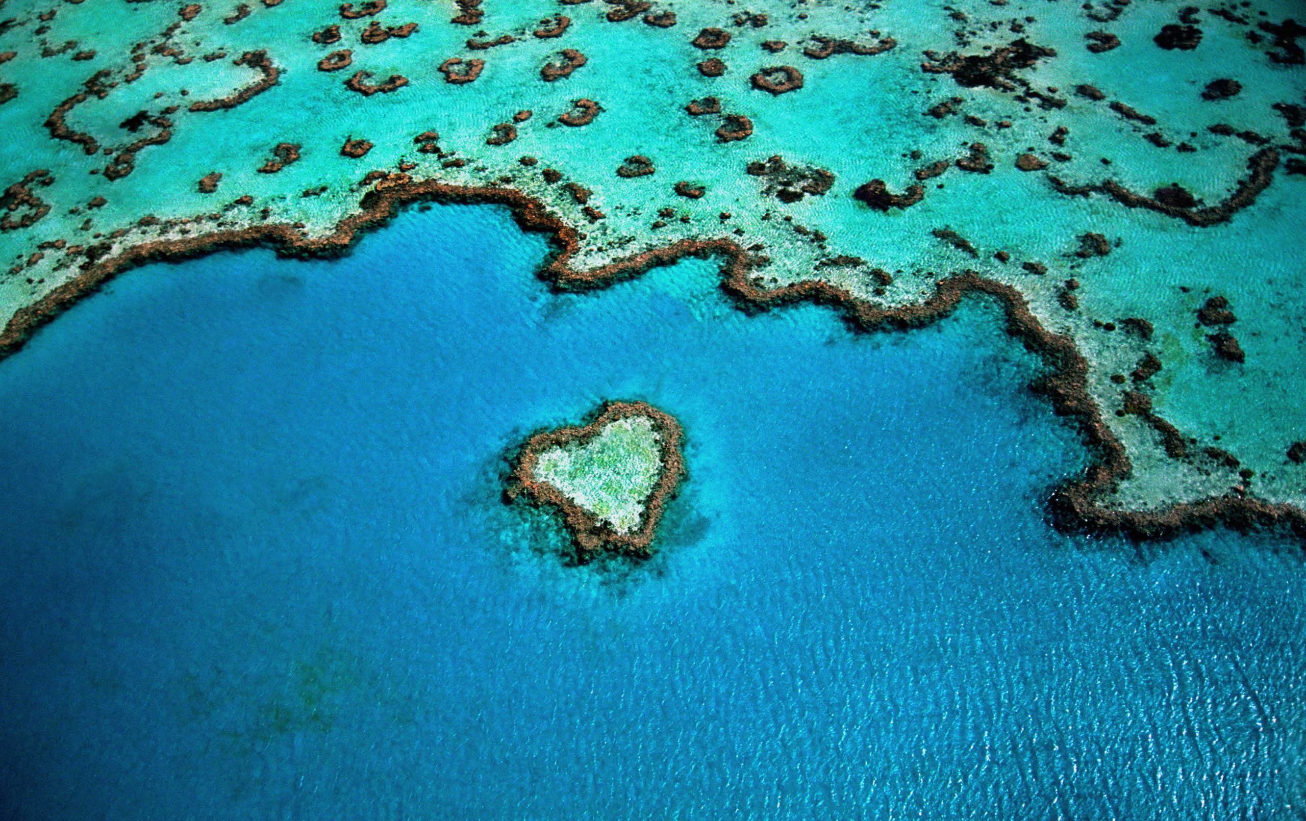 heart shaped reef, great barrier reef