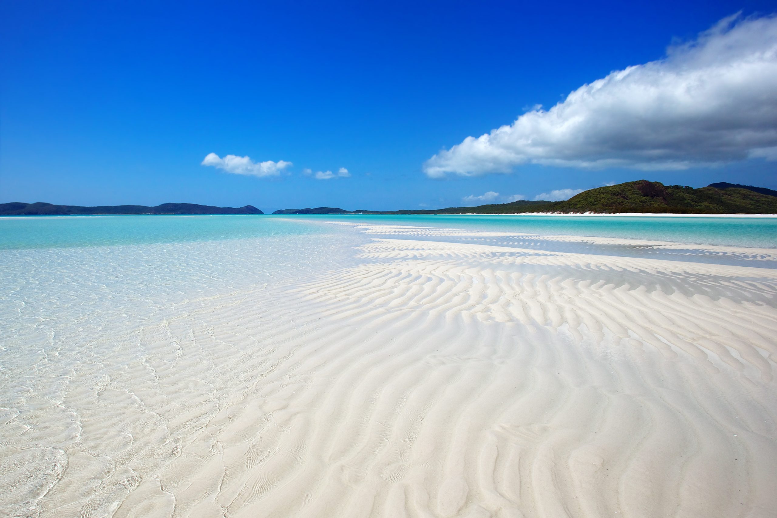 Whitsunday Island Beach | Shutterstock – Tanya Puntti