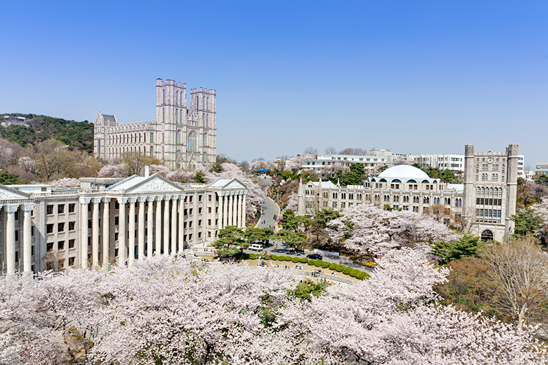 Seoul, Korea - Unconventional Cherry Blossom Spots Cherry blossoms at Kyung Hee University, Seoul