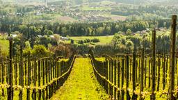 Weiz (Steiermark) car hire