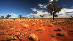 Yulara Hotels