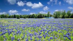 Hotels near Texas State Power Lifting Competition