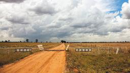 Find cheap flights from Sydney to Dubbo