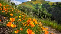 Los Padres National Forest holiday rentals
