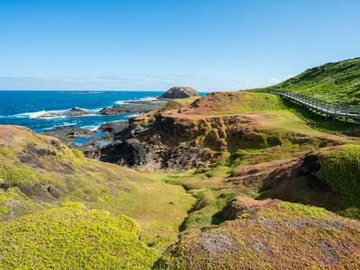 Phillip Island