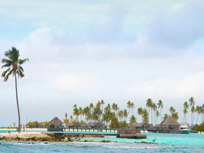 Lankanfinolhu