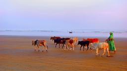 Find cheap flights to India