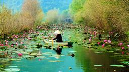 Find cheap flights to Vietnam