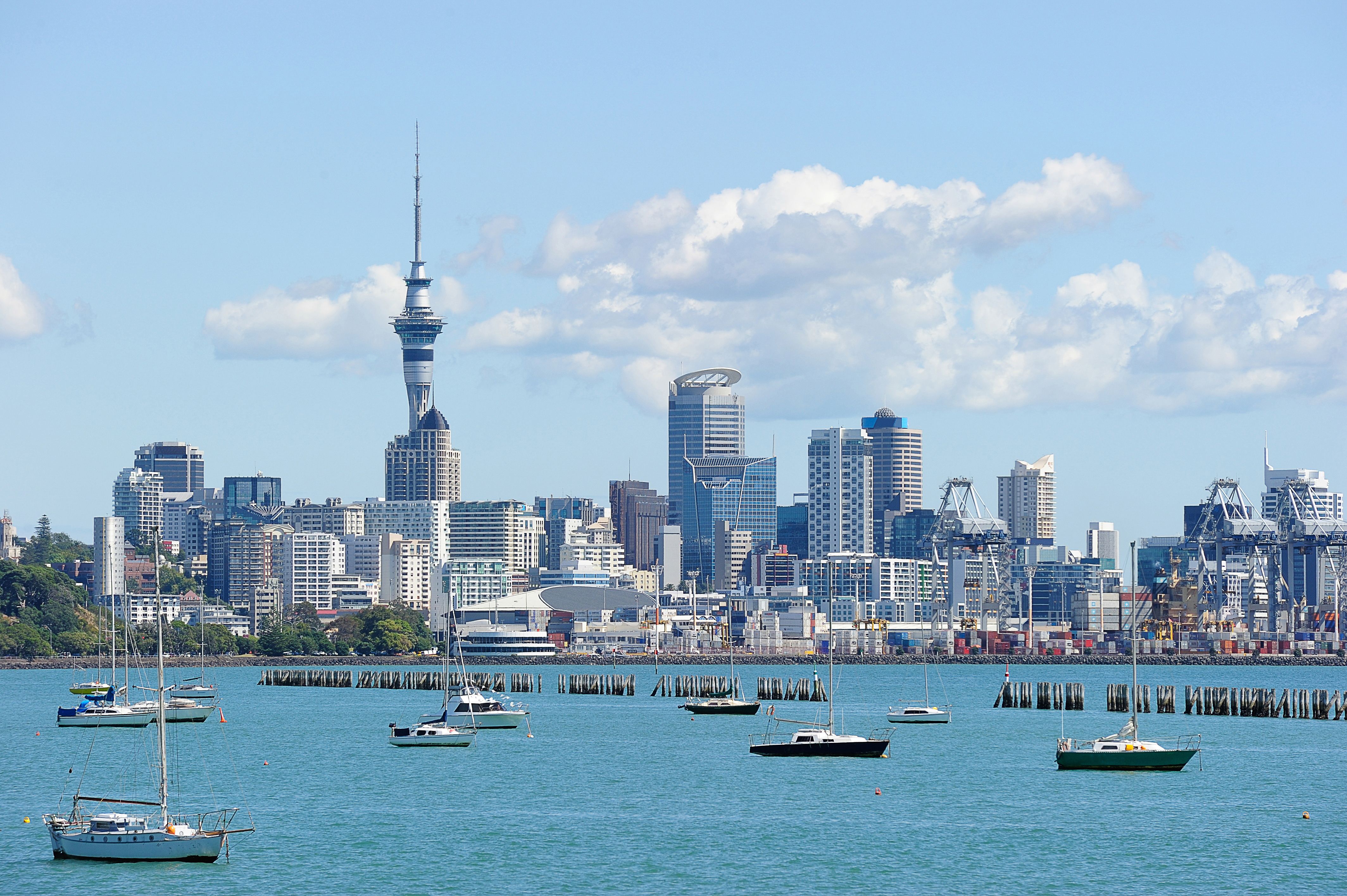 Car Hire in Auckland from A10/day Search for car rentals on KAYAK