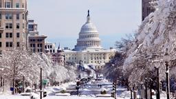 Find cheap flights to Washington