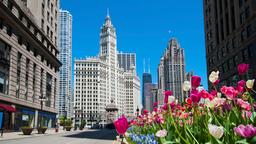 Chicago Metropolitan Area holiday rentals