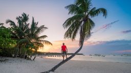 Find cheap flights to Punta Cana