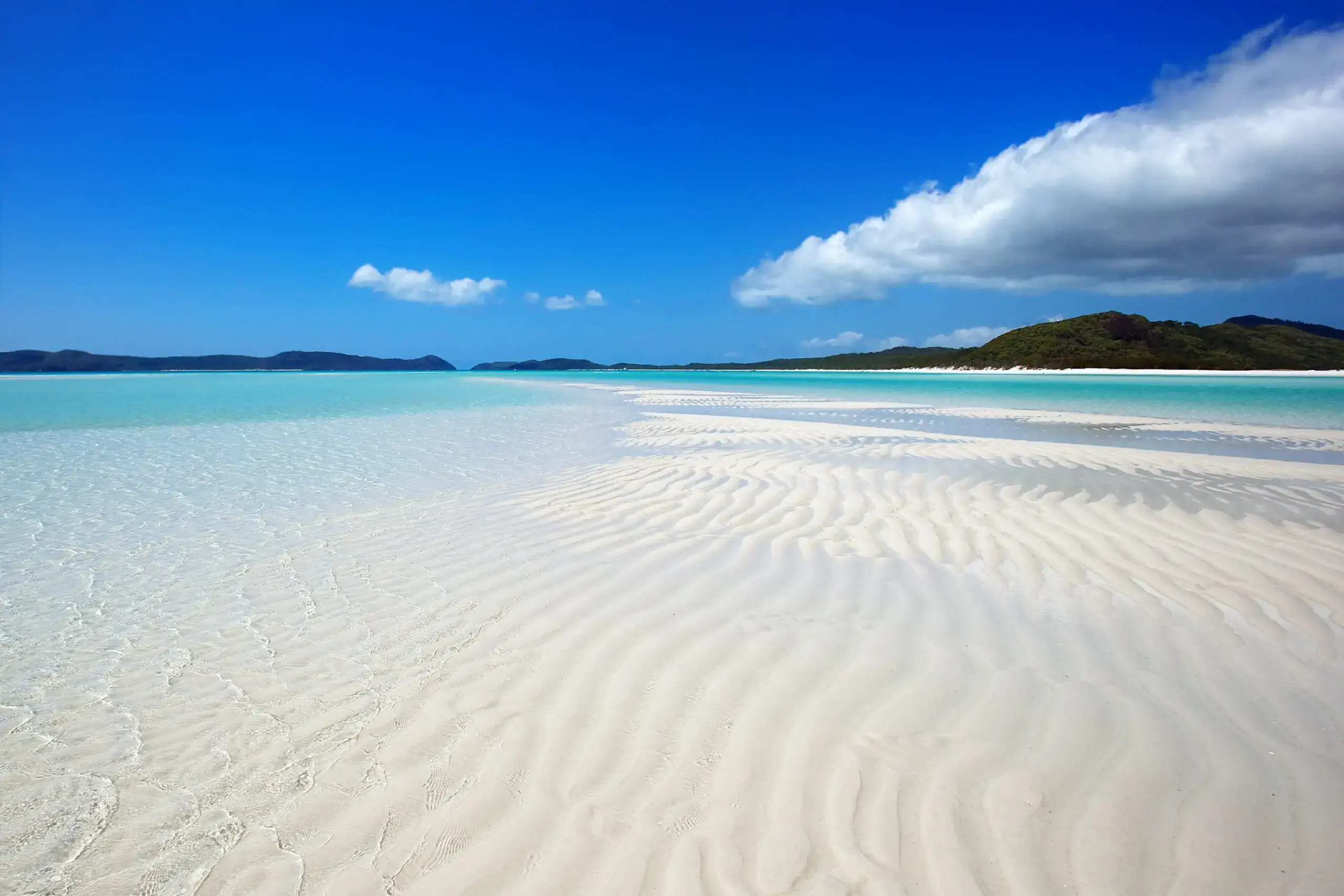 Whitsunday Island Beach | Shutterstock – Tanya Puntti