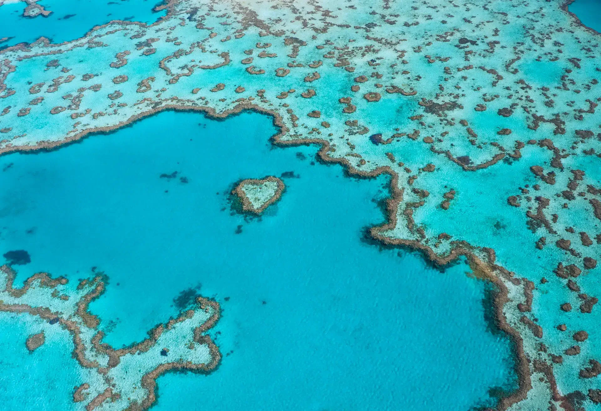 Heart Reef arial shot taken near Whitsunday islands, Queensland. Coral formation in the shape of a heart located  at the great barrier reef.