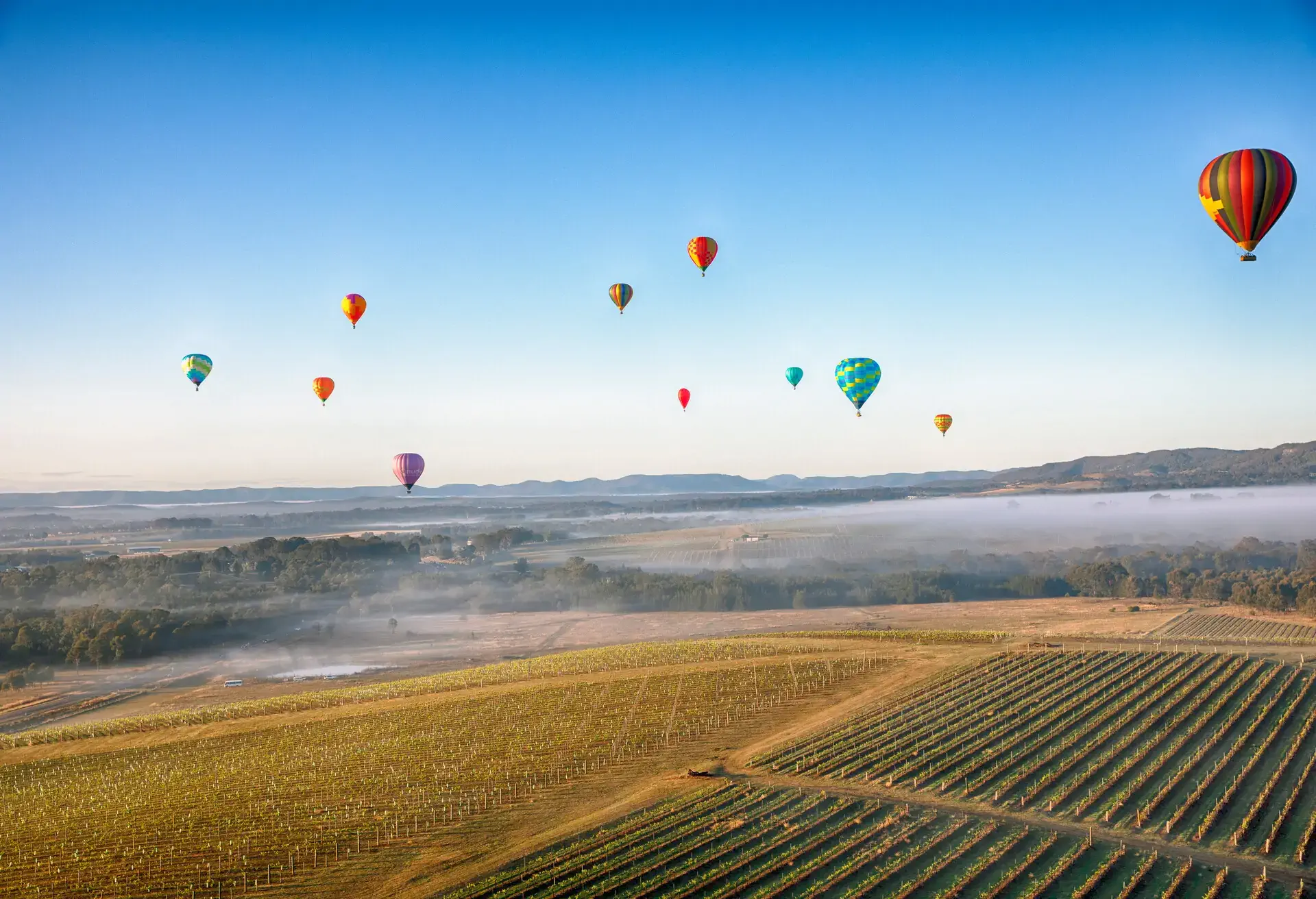 Hunter Valley on a fog lit morning.