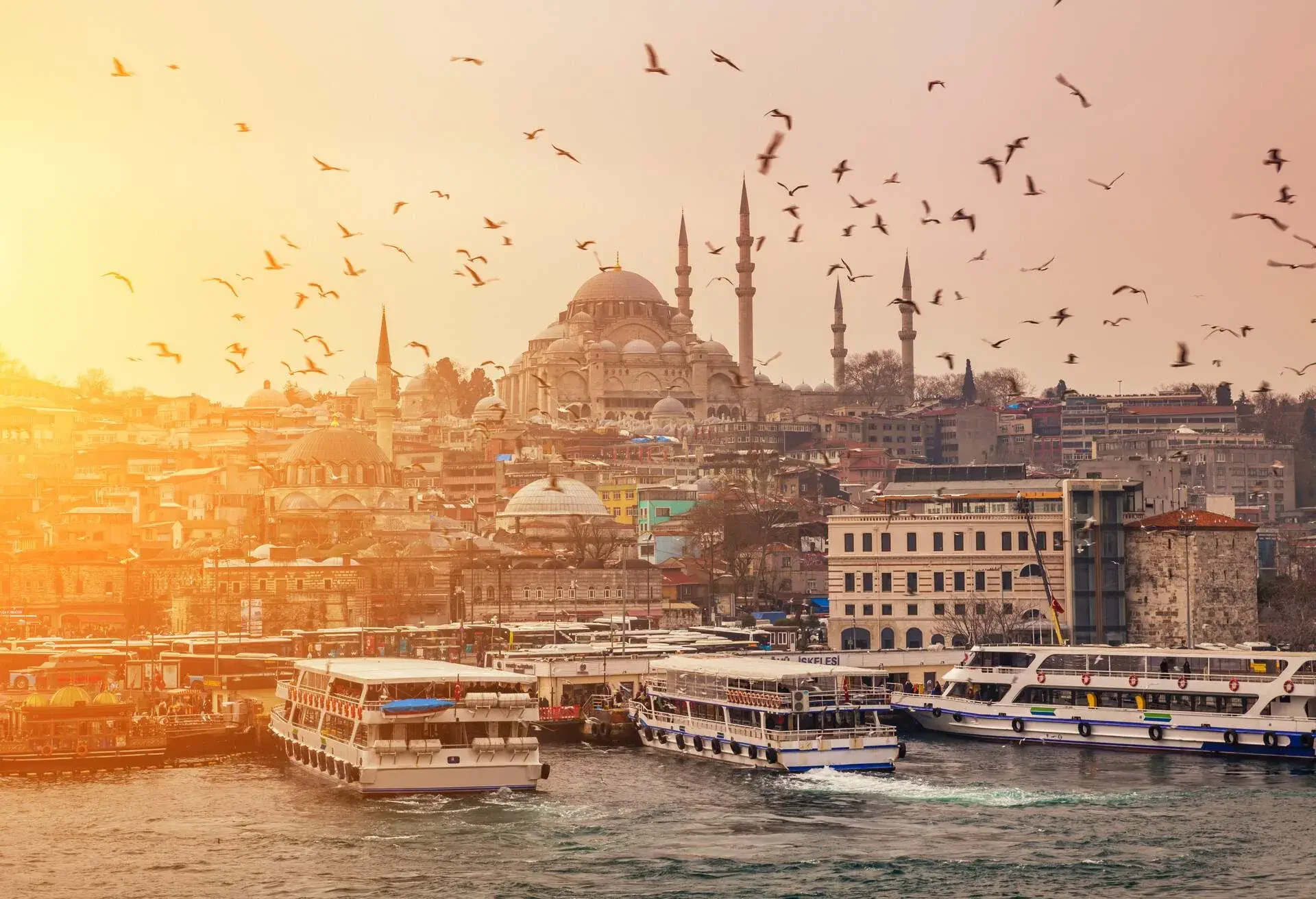 A flock of birds against the background of the Suleymaniye Mosque