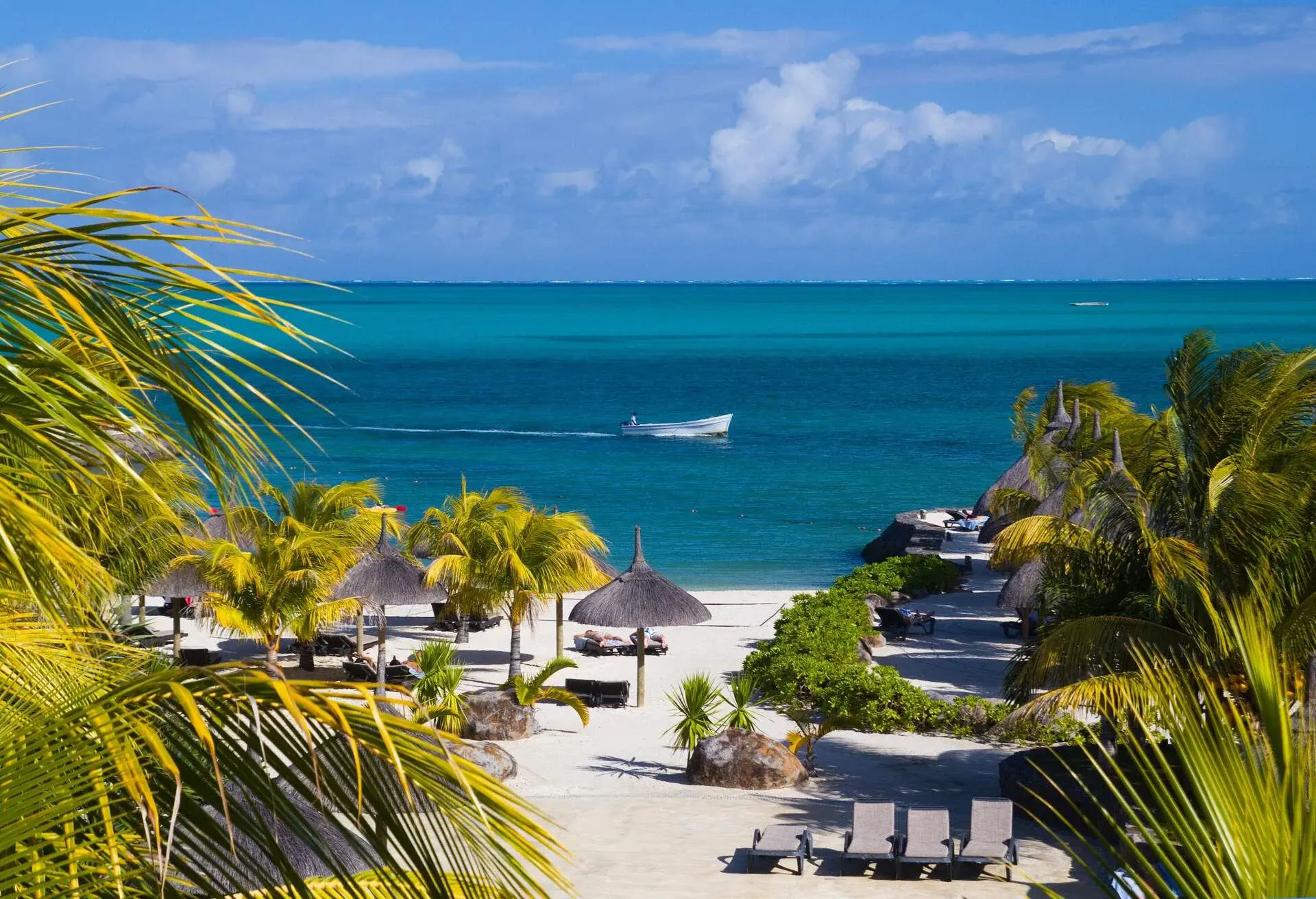 Ocean view over beach and coconut trees