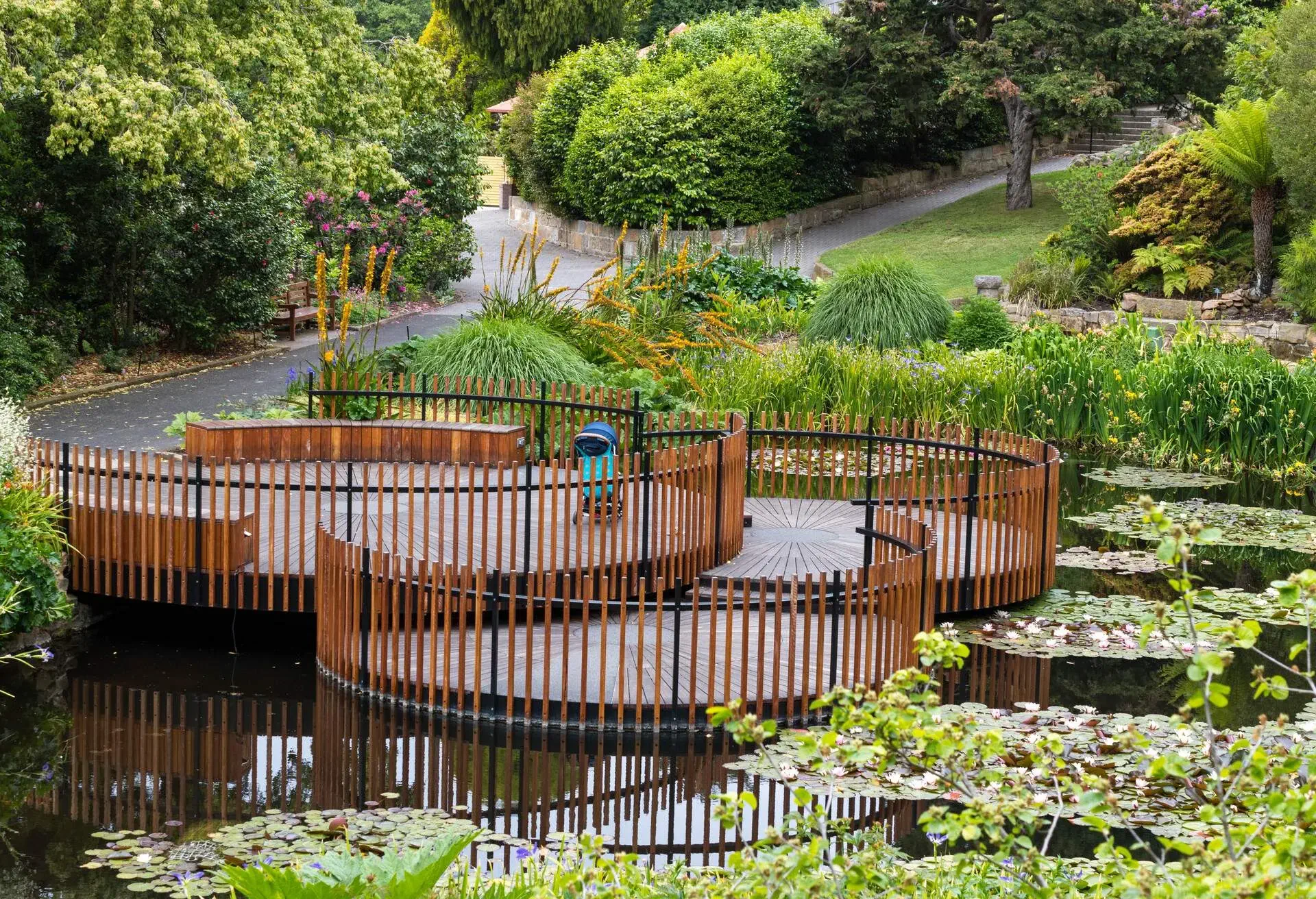 Pond at Royal Botanical Garden. Picture is taken in Royal Botanical Garden. Hobart, Tasmania, Australia. There is a pram parked as well.