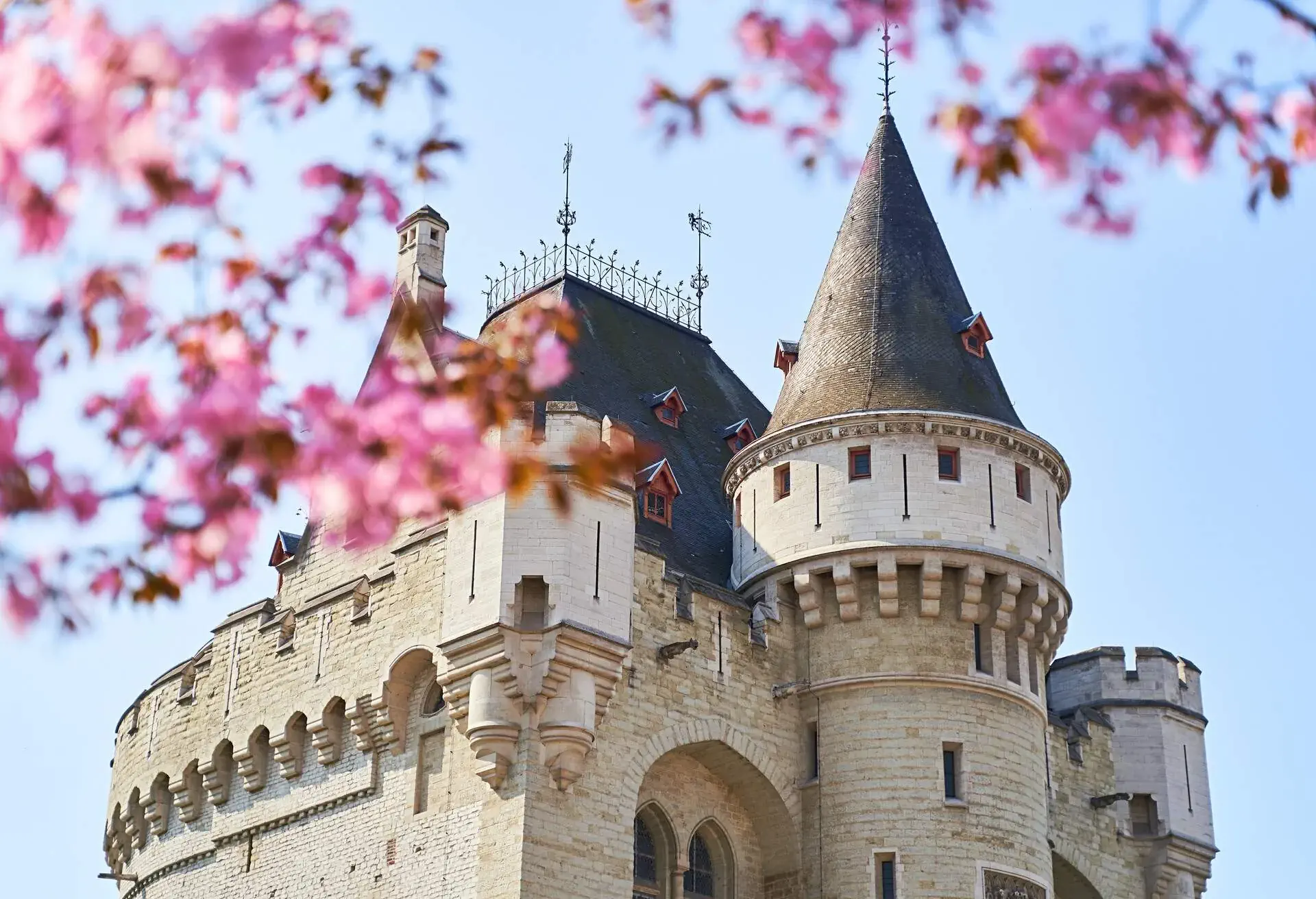 View of the Halle Gate, medieval fortified city gate, through blooming trees.